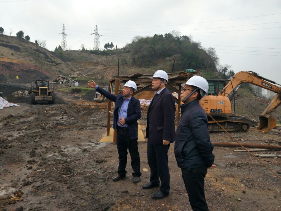 隊(duì)長兼黨委書記汪宏敏、黨委副書記嚴(yán)四甫等到袁倉項(xiàng)目檢查工作